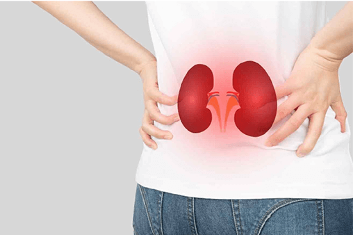 Kidney Profile Package